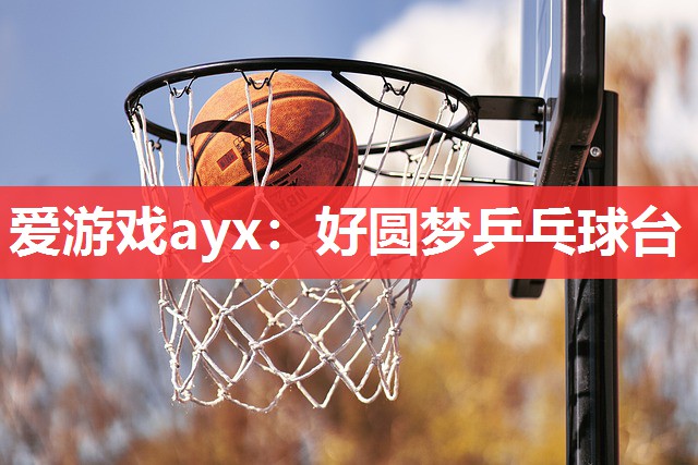 <strong>爱游戏ayx：好圆梦乒乓球台</strong>