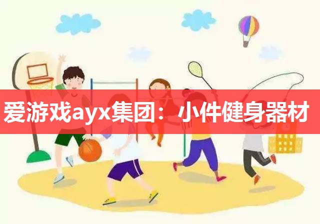 爱游戏ayx集团：小件健身器材