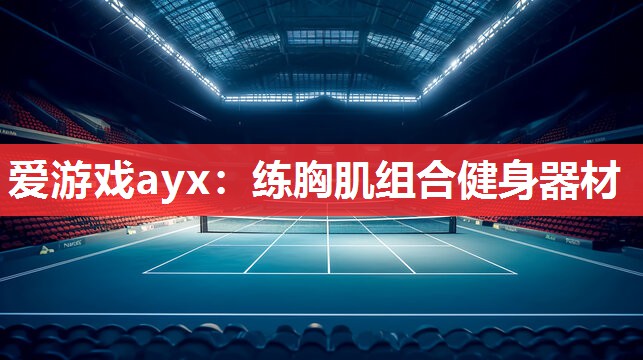 爱游戏ayx：练胸肌组合健身器材