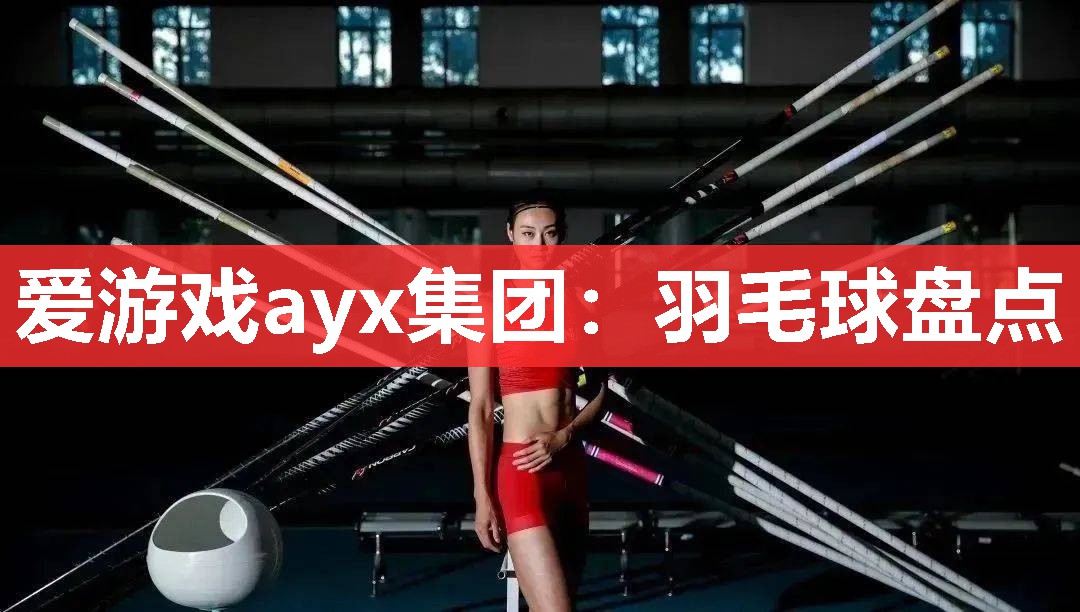 爱游戏ayx集团：羽毛球盘点