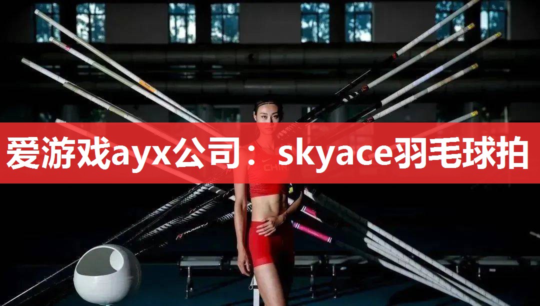 skyace羽毛球拍