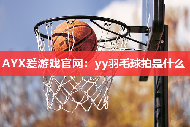 yy羽毛球拍是什么